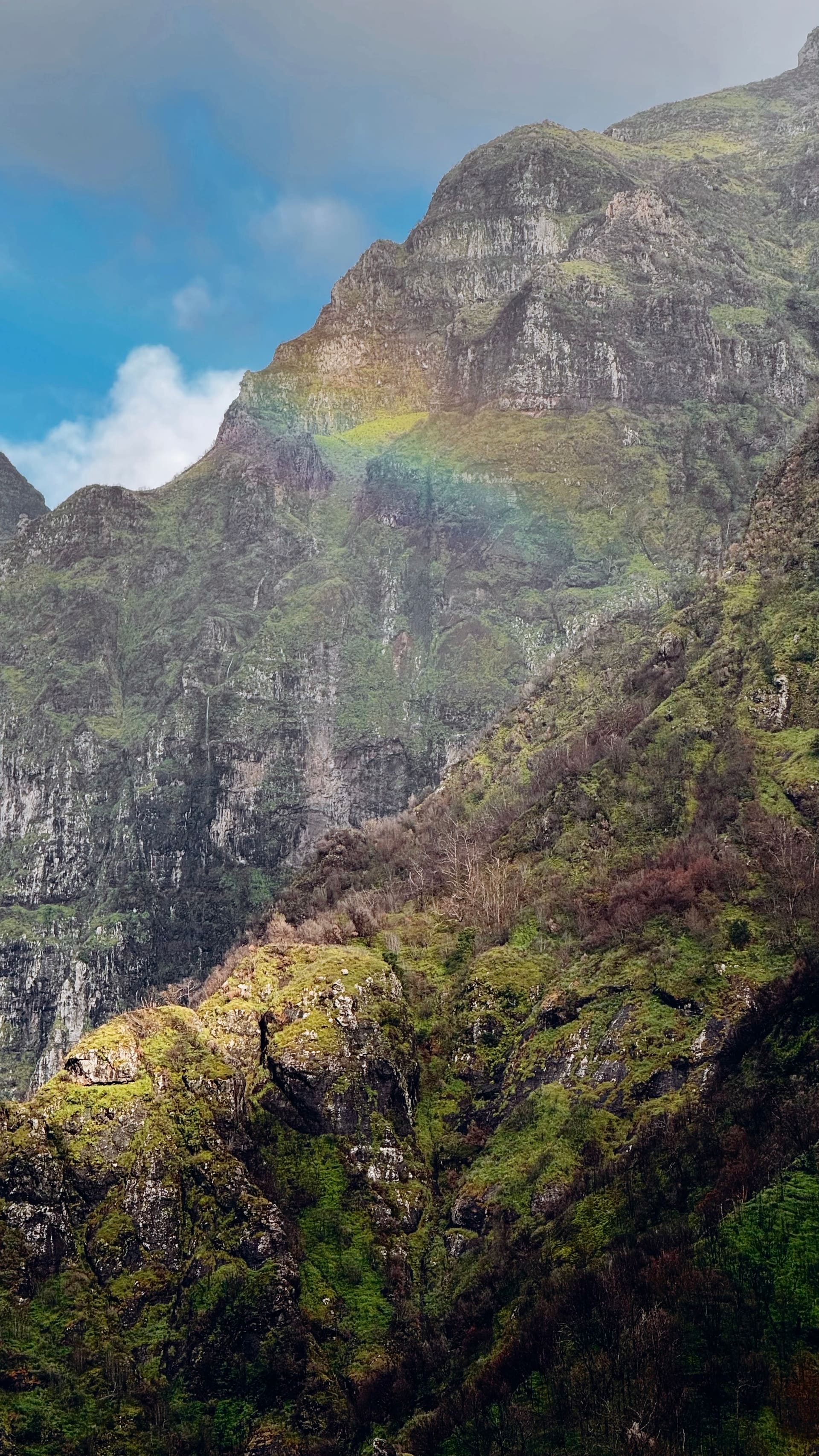 Mossy cliffs with a faint rainbow in Madeira's central mountains, photographed by the EARTH founders.