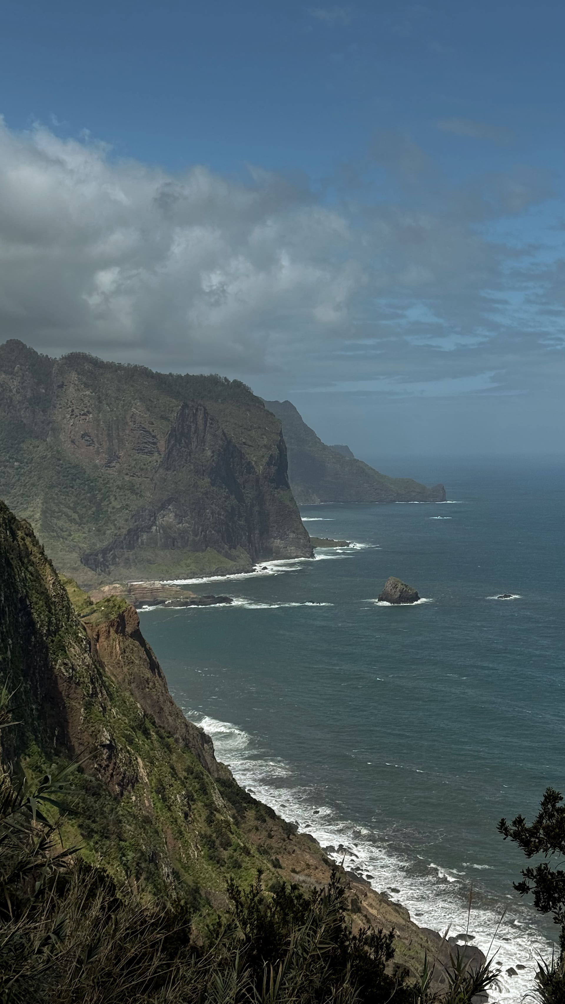 Dramatic green cliffs meeting the Atlantic on Madeira's north coast, photographed by the EARTH founders.